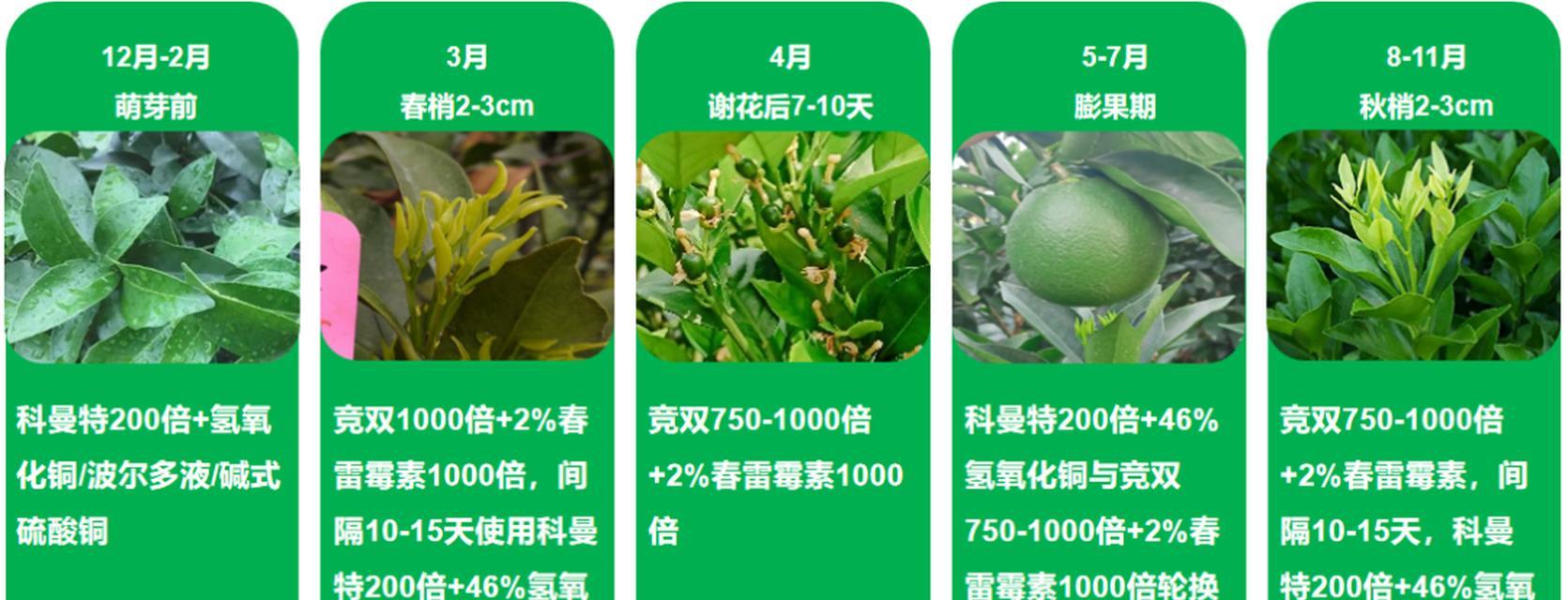 农药柑橘类的含义是什么？