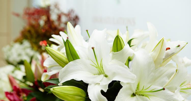 四朵百合花的含义是什么？它们传达了哪些信息？
