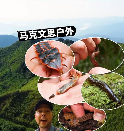 婆罗洲的特有动植物有哪些？