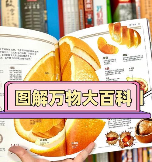 植物中隐藏了哪些秘密？如何发现它们的奥秘？