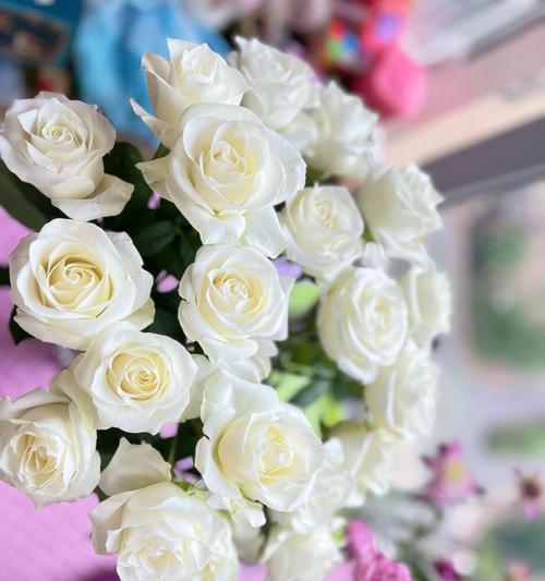 白玫瑰的花语是什么？如何理解它的象征意义？