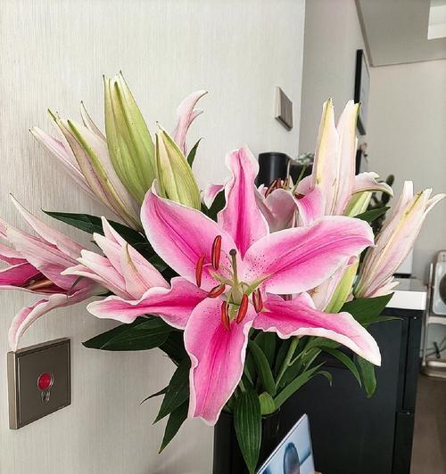 10朵百合花在男性送花中代表什么？