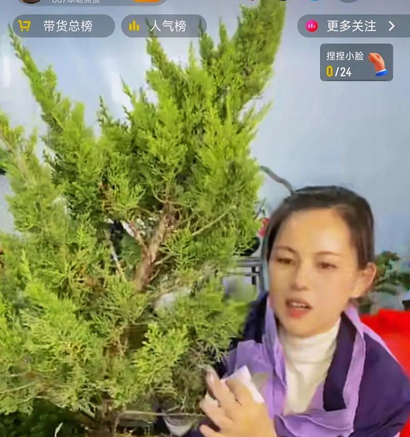 盆栽捏枝是什么技术？如何正确进行盆栽捏枝养护？