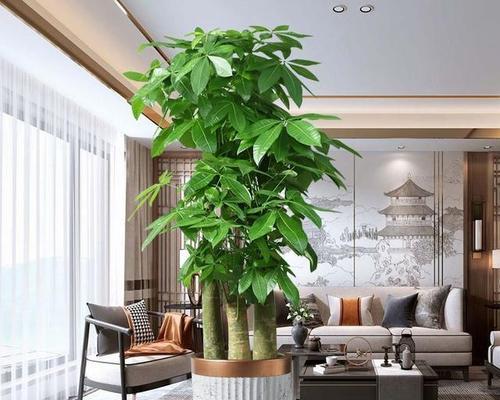 五行缺火时适合养哪些植物？这些植物有何特别之处？
