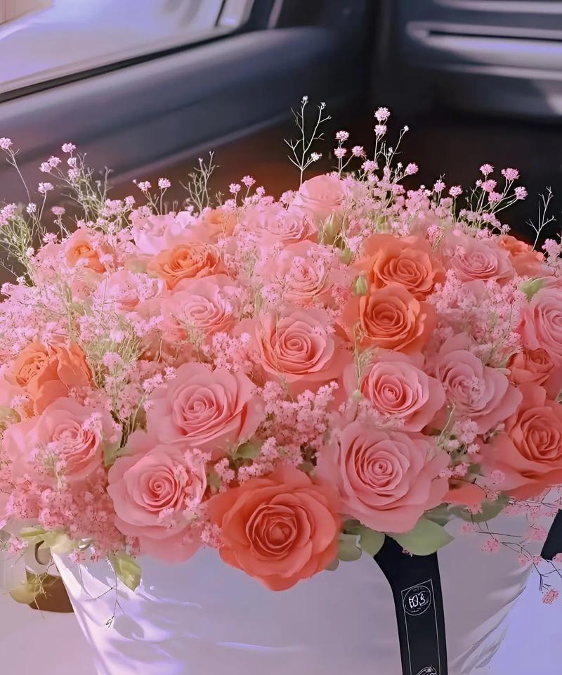 玫瑰花语爵色是什么花？它的花语有哪些含义？