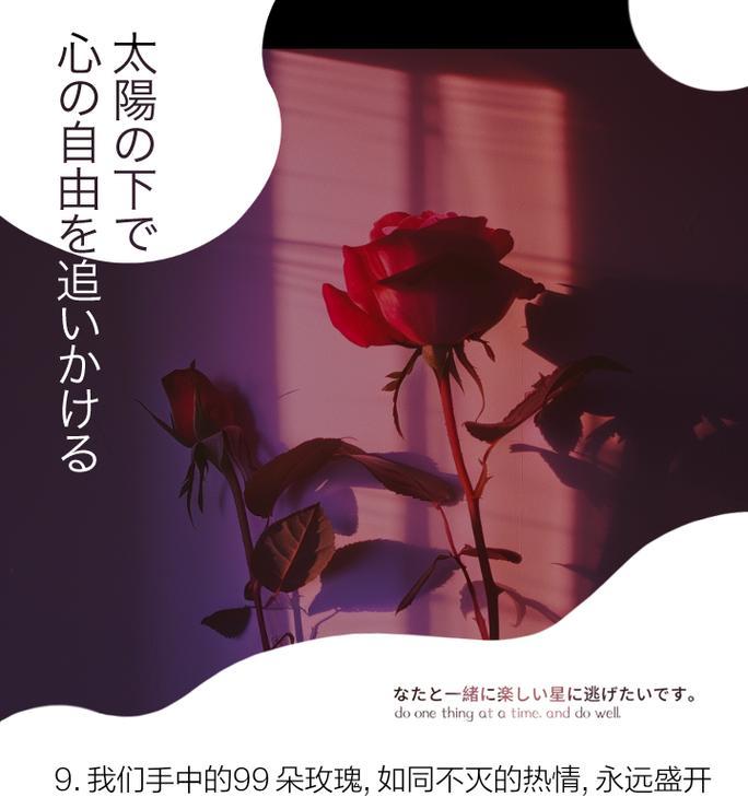 养死玫瑰花有什么特别的含义吗？