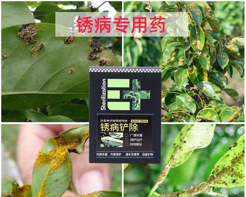 农药交替使用有什么好处？两种药交替使用的原理是什么？