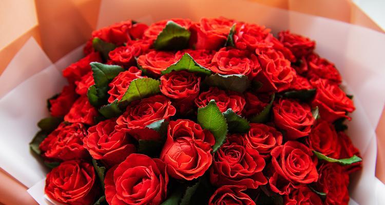 哭泣的百合花什么意思？它象征着怎样的情感？