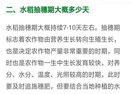 水稻扬花次数代表什么含义？
