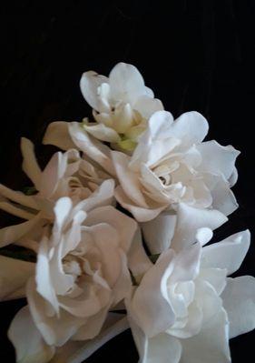 白玫瑰爱着栀子花什么意思？白玫瑰和栀子花组合的含义是什么？