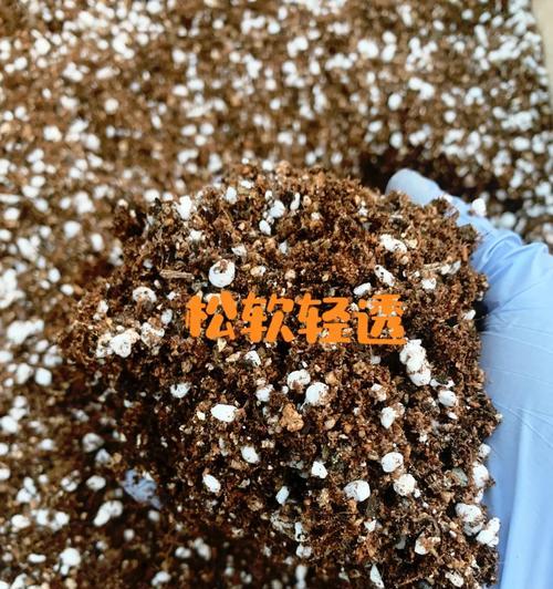 鹿藻土种植指南：哪些盆栽花卉最适宜？