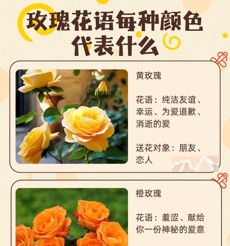 七年恋人应该送哪种玫瑰花？
