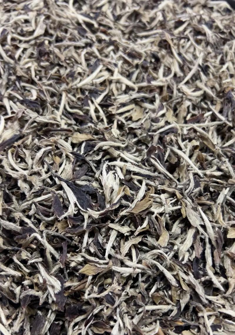 旧山上有什么花卉出名的地方？它们的生长环境有何独特之处？