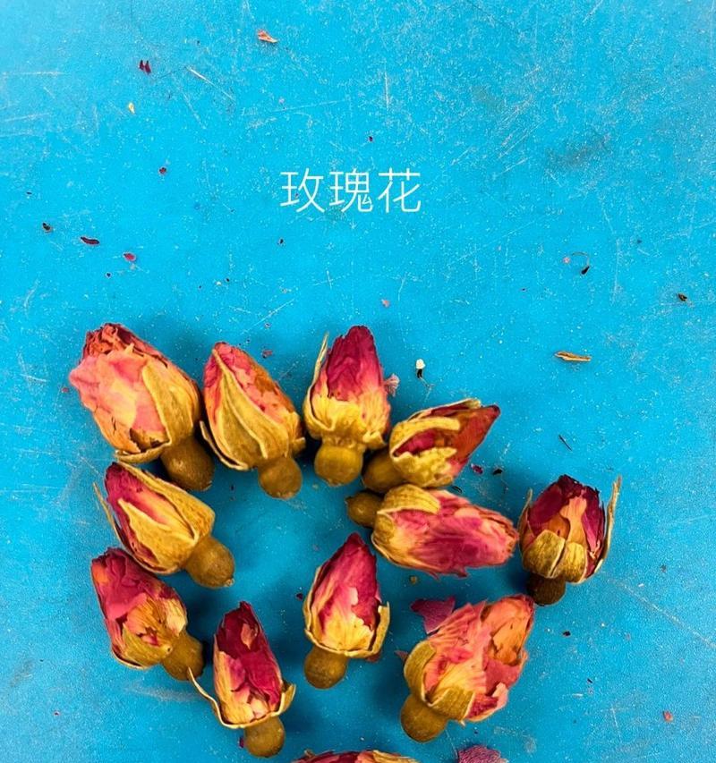 月季花与玫瑰花相似意味着什么？