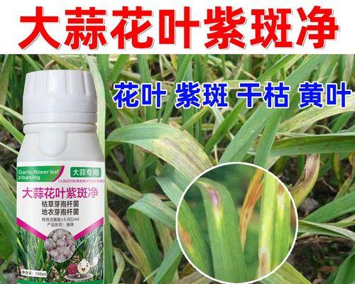 蒜头对花卉杀菌有效吗？原因是什么？