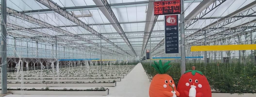株洲有哪些花卉无土栽培厂家？