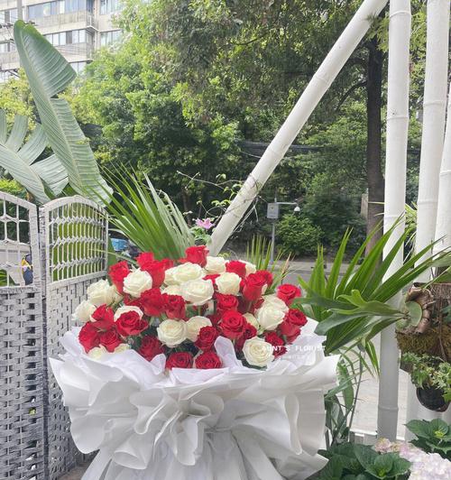 花束中白玫瑰与红玫瑰混合代表什么？这种搭配有何寓意？