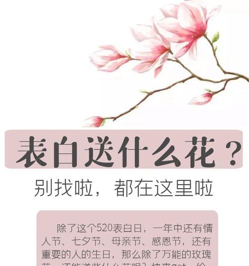 女生拿玫瑰花但未表白是什么意思？它在情感交流中暗示了什么？