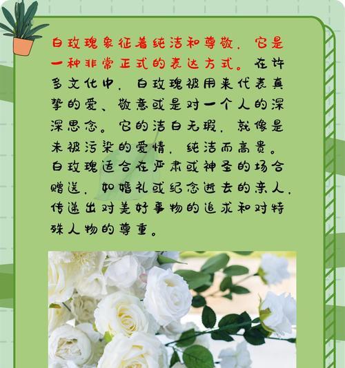 女生拿玫瑰花但未表白是什么意思？它在情感交流中暗示了什么？