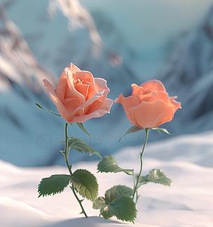 送妈妈白雪玫瑰花代表什么？白雪玫瑰花的寓意是什么？