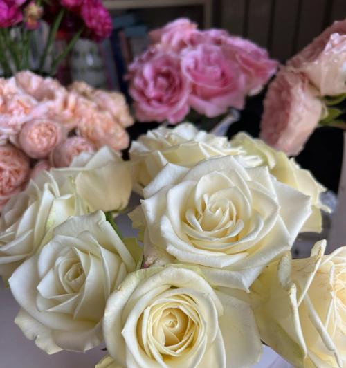 送妈妈白雪玫瑰花代表什么？白雪玫瑰花的寓意是什么？