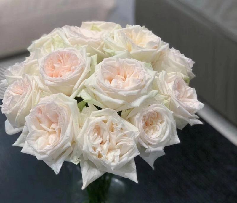 送妈妈白雪玫瑰花代表什么？白雪玫瑰花的寓意是什么？