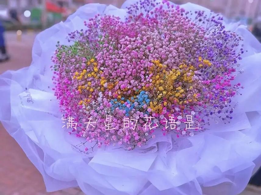 满天星的花语有哪些？各种满天星花语是什么？