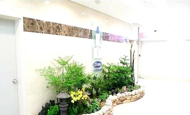 花卉园艺室内设计具体是怎样的工作内容？