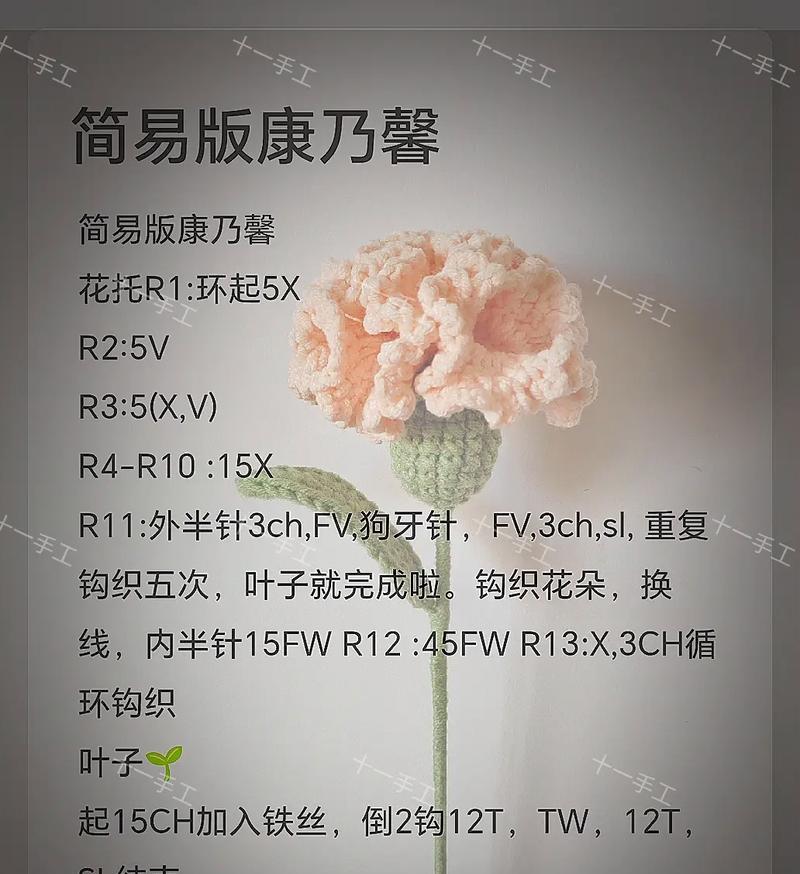 红粉康乃馨的花语是什么意思？康乃馨颜色不同花语有何区别？