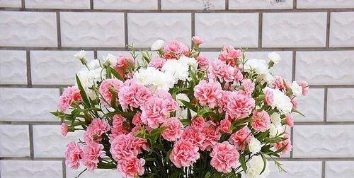 红粉康乃馨的花语是什么意思？康乃馨颜色不同花语有何区别？