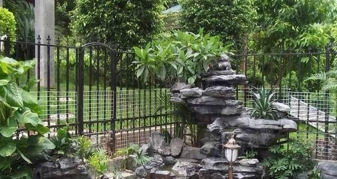 鱼池种什么植物？选择植物时应考虑哪些因素？