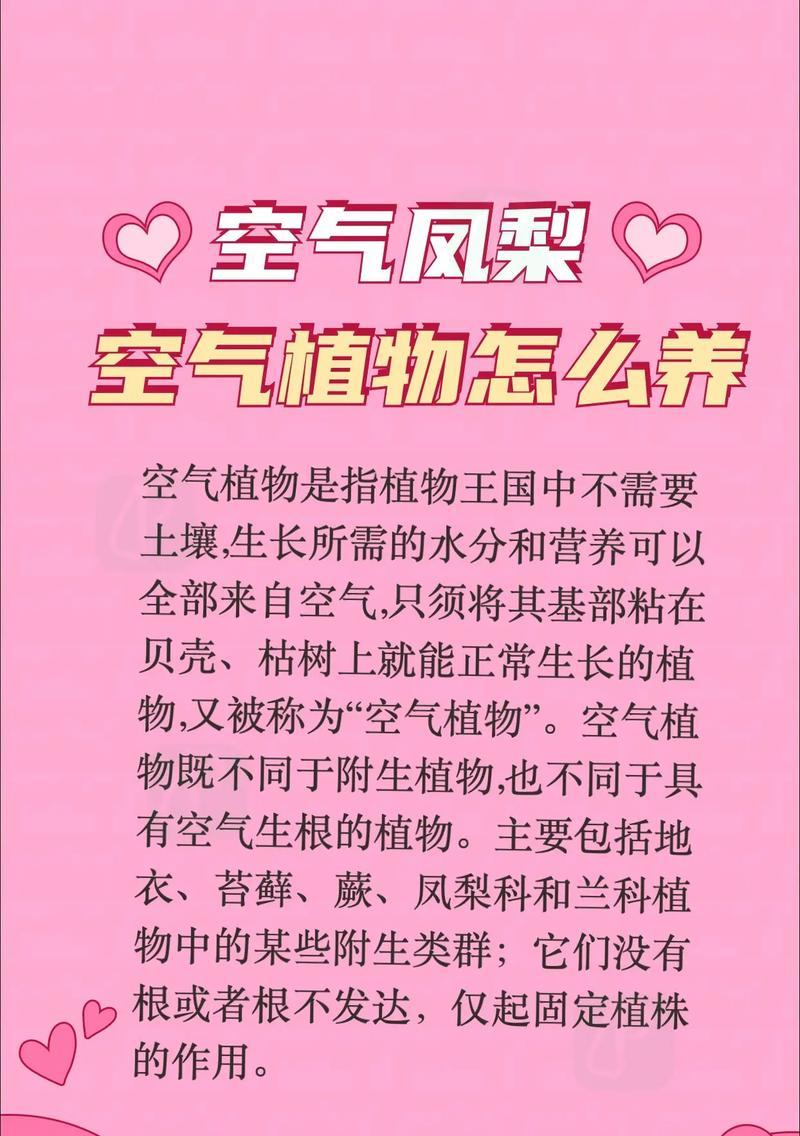 植物怎么样长？有哪些促进植物生长的技巧？