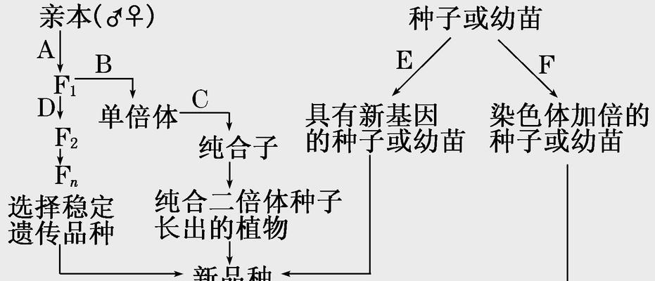 如何实现植物的完全杂交？有哪些技巧和方法？
