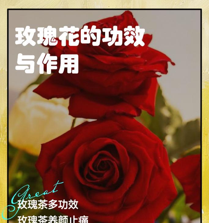 怎样美化玫瑰花的花语和寓意？有哪些创意方式？