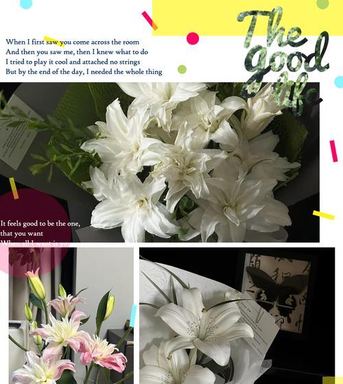 百合花象征爱情吗？百合花的象征意义是什么？