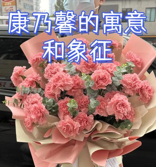 20朵康乃馨代表什么含义？康乃馨数量的象征意义是什么？