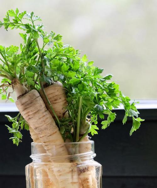 农村有哪些值钱的植物？如何进行植物种植和销售？