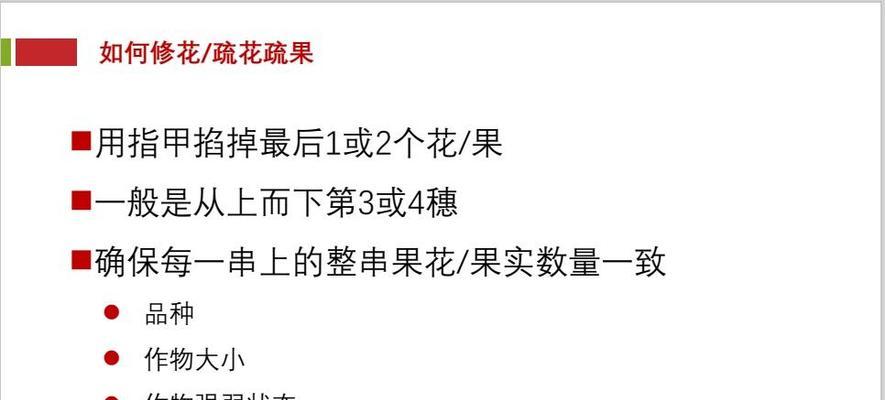 小番茄盆栽栽培方法是什么？需要注意哪些事项？