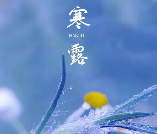 寒露节气适合种植哪些植物？它们的生长特点是什么？