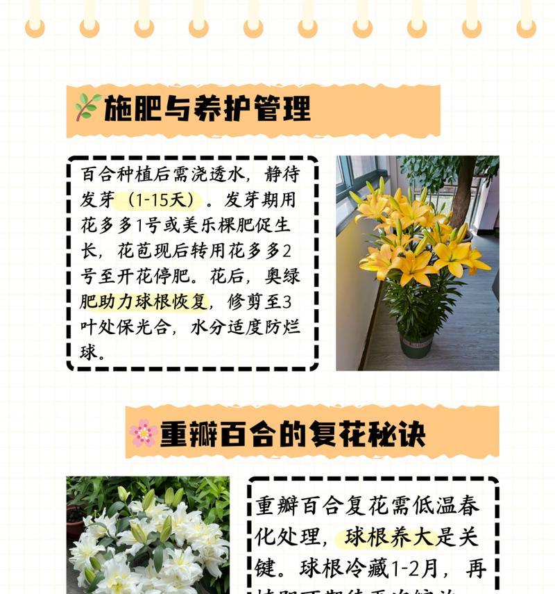 野生百合地栽的种植方法是什么？