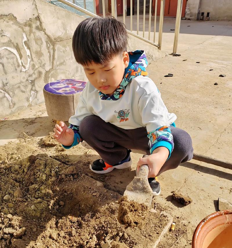 农村种君子兰的正确种植方法有哪些？