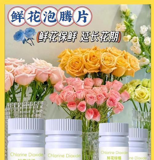 玫瑰花如何保存以避免枯萎？藏身上的玫瑰花怎样保鲜？