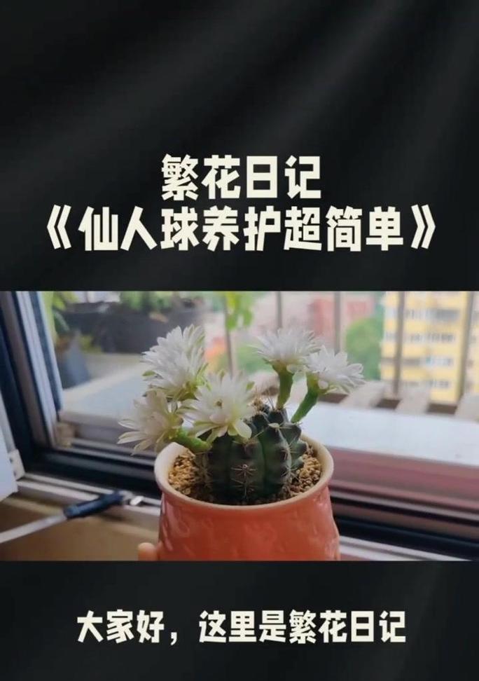 仙人球需要浇水吗？仙人掌的养护方法是什么？