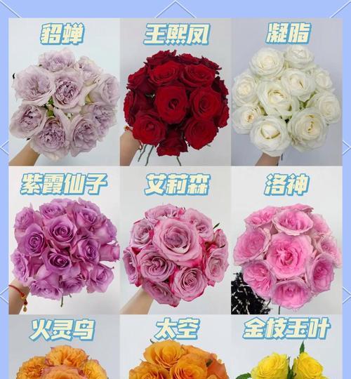 鲜花修剪后的玫瑰花如何养护？