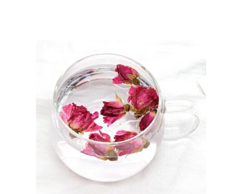 红牛瓶子养玫瑰花可行吗？有哪些注意事项？