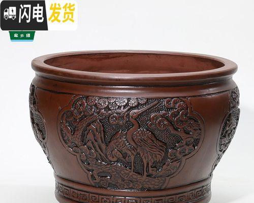 君子兰古风花盆养护要点是什么？如何打造古风盆景？