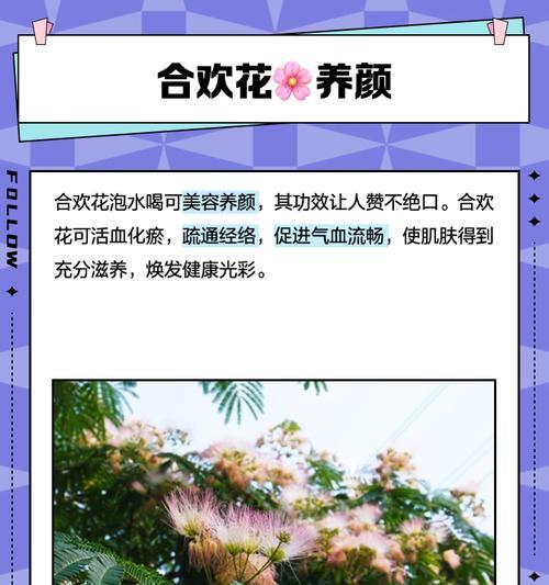 合欢花与玫瑰花有哪些主要区别？