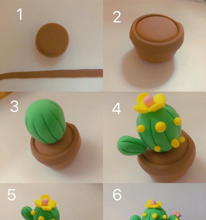 仙人球花盆如何DIY？造型设计有哪些技巧？