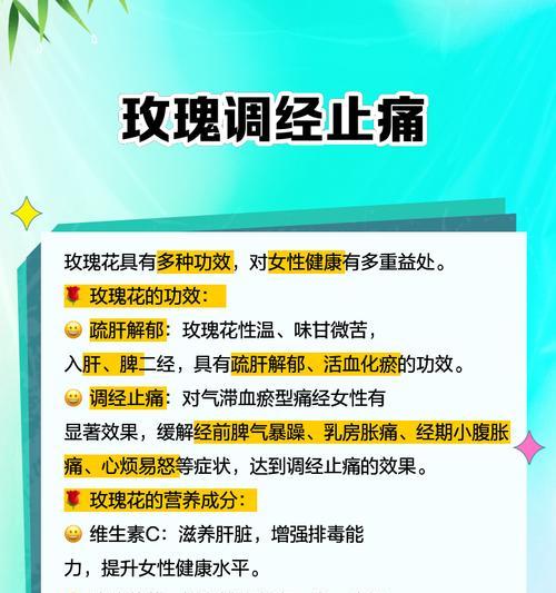 王小乐玫瑰花养护技巧有哪些？