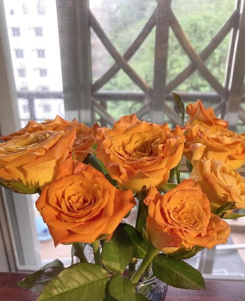 金色玫瑰花的品种是什么？这种玫瑰花有什么特点？